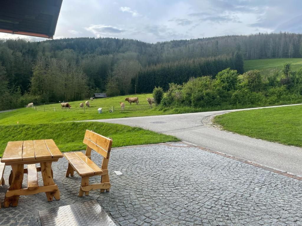 Ferienwohnung ,Hoizmann' Pinsdorf Kültér fotó